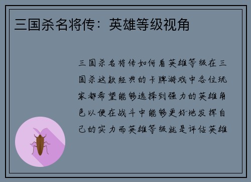 三国杀名将传：英雄等级视角